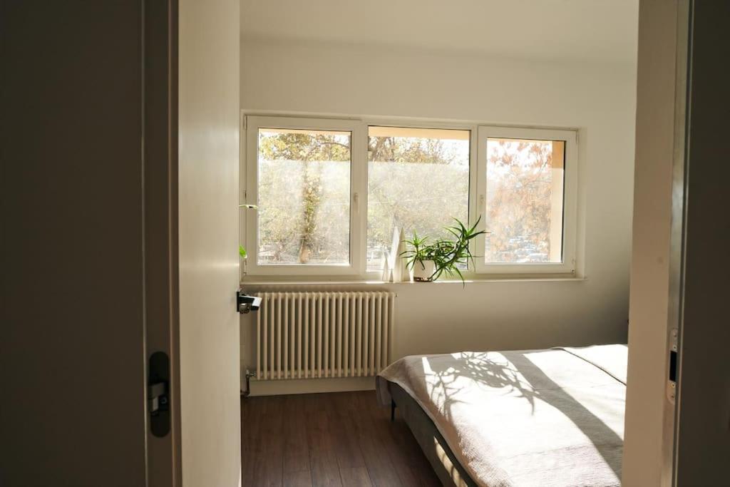 Ultracentral Two Rooms Apartment In Bucareste Exterior foto